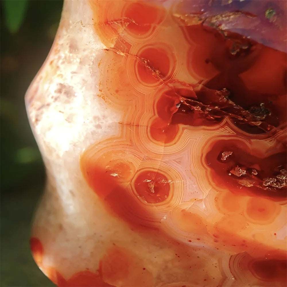 Loverah™ Carnelian Crystal Set (Raw Red Agate Stones)