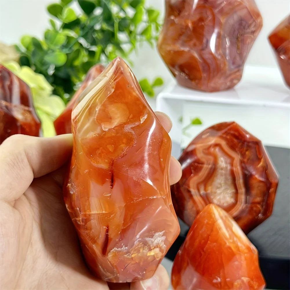 Loverah™ Carnelian Crystal Set (Raw Red Agate Stones)