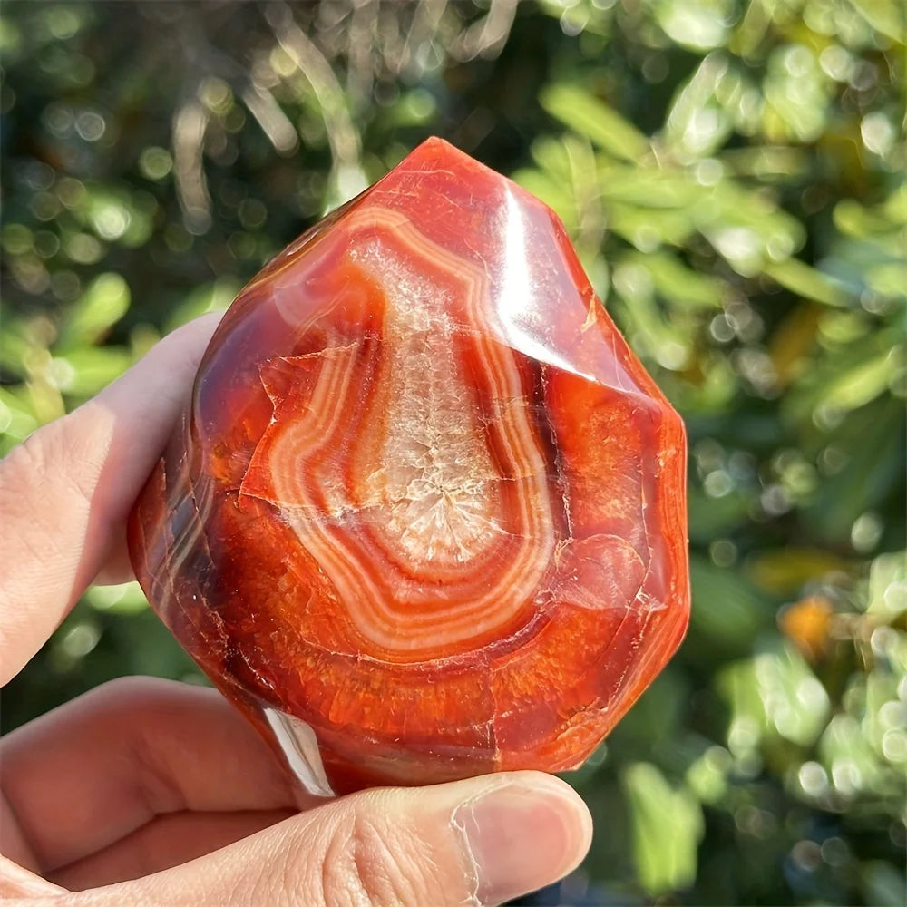 Loverah™ Carnelian Crystal Set (Raw Red Agate Stones)