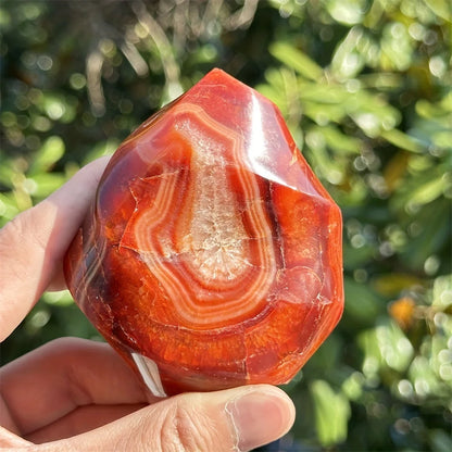 Loverah™ Carnelian Crystal Set (Raw Red Agate Stones)